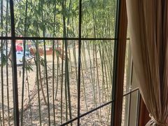 -芭东小镇温泉