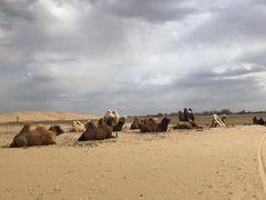 -亿利库布其七星湖沙漠生态旅游区