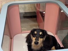 -FAELING PETS美天灵宠物(合生汇店)