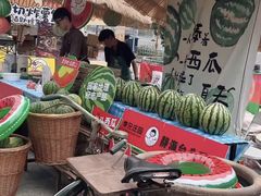 -鹏欣水游城