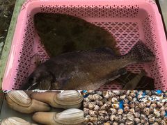 -大湾区中央湿地公园-十九涌