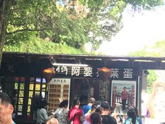 -金盆阿嬷香菇茶叶蛋(玄光店)