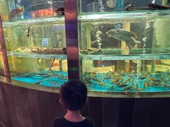 -1718海鲜姿造(苏宁宴请臻选店)