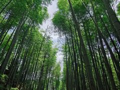 -径山寺