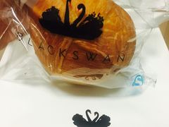 天鹅蛋-BLACKSWAN黑天鹅(环球店)