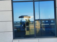 -日照海滨国家森林公园