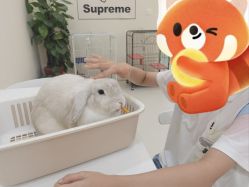 -Moni星球萌宠·小马宝莉·灵蛇·高端高阶全萌宠互动体验俱乐部(红豆国际广场店)