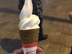 -富豪雪糕车流动点(尖沙咀店)