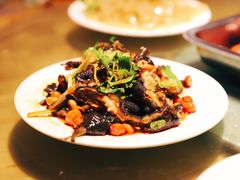 -杨氏青龙虾·羊蝎子(金盛路总店)