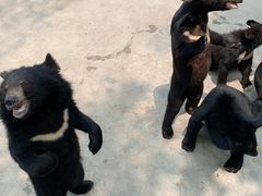 -西安秦岭野生动物园