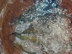 -上名堂·鱼头好吃(体育场路店)