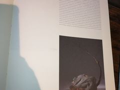 -设计共和 Design Republic(江宁路店)