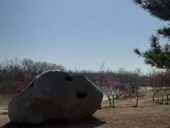 -塘沽森林公园