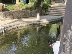 -融汇温泉