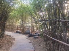 -西安汉城湖景区