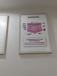 -广州美莱医疗美容医院