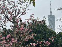 -二沙岛艺术公园