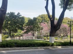 -华东饭店·园林式婚礼宴会厅酒店