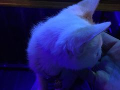 -星宿秘码(鼓浪屿老店)