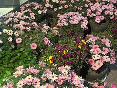 -瓦库茶馆17号(海汇港店)