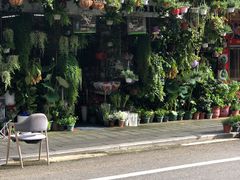 -溪岸路花鸟市场