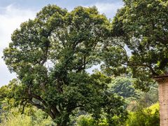 -十九峰景区-倒脱靴