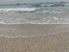 -贝壳沙滩