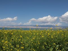 -青海湖国家重点风景名胜区