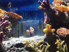 -多彩贵州城极地海洋世界