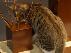 -阿目眼镜(清华科技园店)