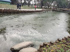-无锡梅园公园