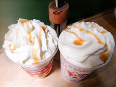 -伏小桃(明瓦廊店)