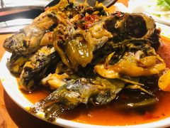 -三道苗苗鱼·美蛙黄辣丁(八里店)
