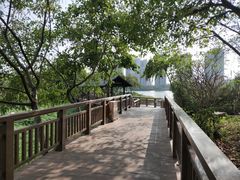 -广东花都湖国家湿地公园