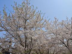 -苏州上方山国家森林公园