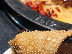 -井格重庆火锅(西直门凯德Mall店)