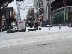 -宝健路步行街(Pedestrian Shopping Street)