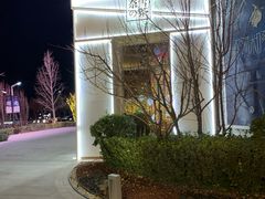 -奈雪的茶(中粮祥云小镇店)