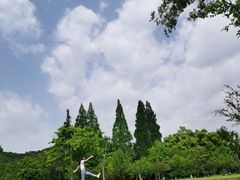 -杭州植物园