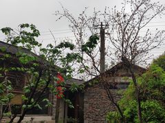 -驿舍·民國老营房院子私房菜(科学会堂店)