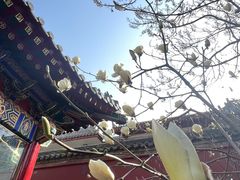 -西安市广仁寺