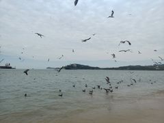 -海驴岛(荣成市)