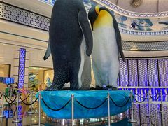 -帝企鹅自助餐厅•儿童岛•真企鹅(长隆企鹅酒店)