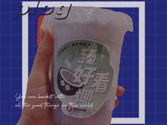 雪燕椰椰冰-炖物24章·顺时轻养茶(黄龙店)