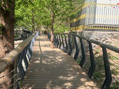 -白水寺森林公园