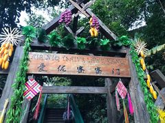 -西双版纳原始森林公园