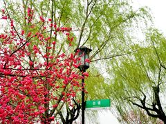 -北山街历史文化街区