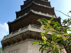 -灵谷景区