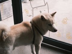 -微焙咖啡工厂(海峡创意产业园·红坊店)