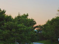 -北坞公园